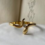 Snake Band